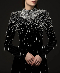 Long sleeve velvet gown with pearl cascade - ODD- Sinmu